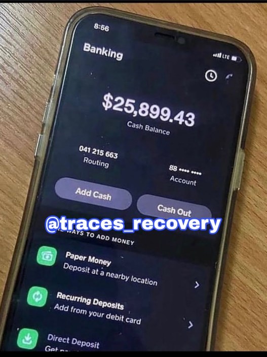 How We Recovered $25,899.43: A Story of Triumph Over Financial Loss - Blog - Recover My Crypto