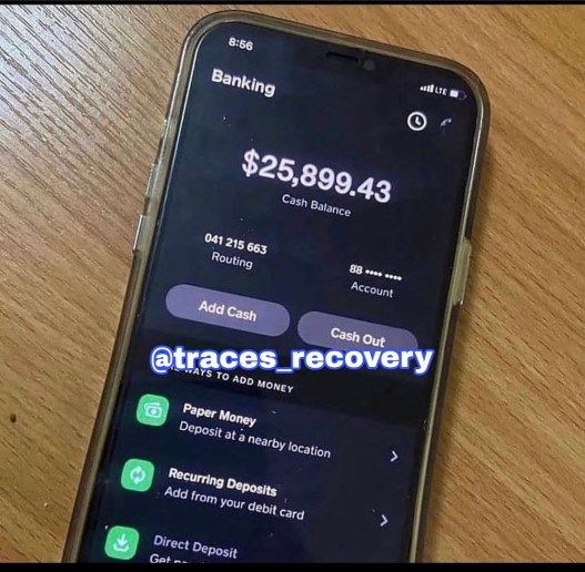 How We Recovered $25,899.43: A Story of Triumph Over Financial Loss - Blog - Recover My Crypto How We Recovered $25,899.43: A Story of Triumph Over Financial Loss - Blog - Recover My Crypto