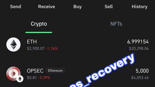 Successful Recovery of $32,426.25 USDT: How We Did It and How We Can Help You Too - Blog - Recover My Crypto