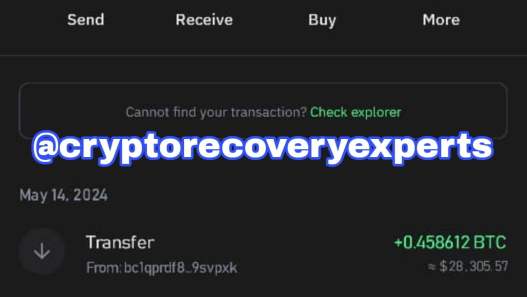 Success Story: Recovery of 0.458612 BTC (Worth $28,305.57 USDT) - Blog - Recover My Crypto