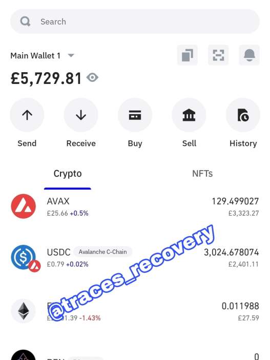 Successful Recovery of £5,729.81: A Testament to Our Expertise - Blog - Recover My Crypto