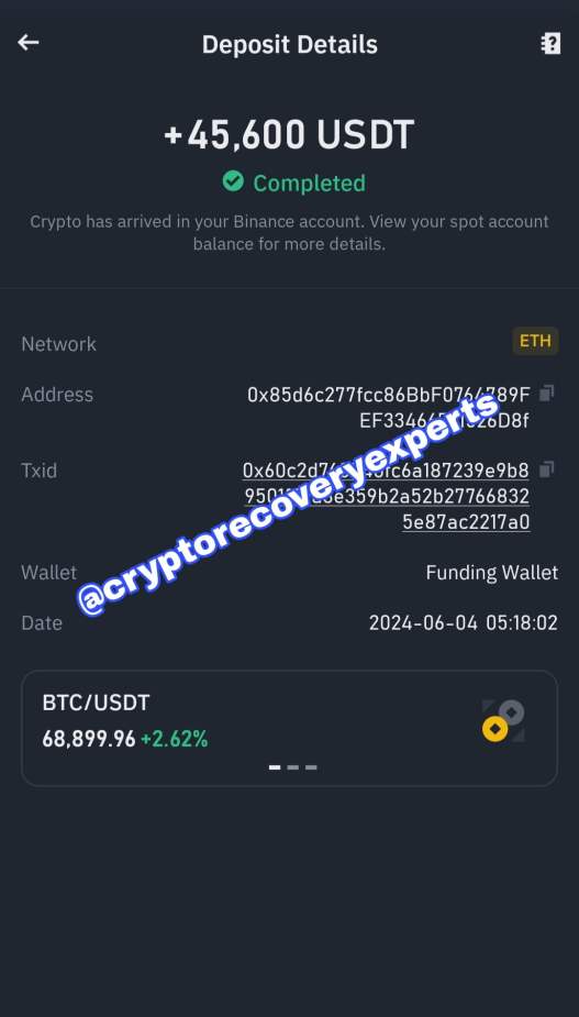 Triumph in Fund Recovery: Reclaiming $45,600.00 USDT - Blog - Recover My Crypto Triumph in Fund Recovery: Reclaiming $45,600.00 USDT - Blog - Recover My Crypto