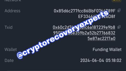 Triumph in Fund Recovery: Reclaiming $45,600.00 USDT - Blog - Recover My Crypto