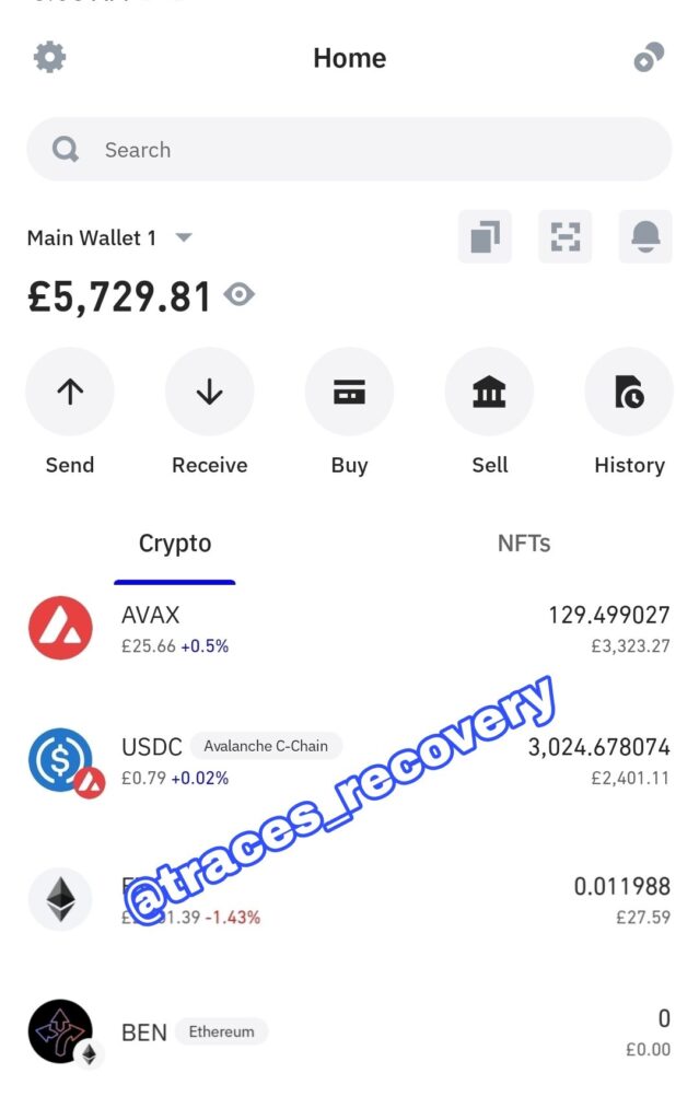Successful Recovery of £5,729.81: A Testament to Our Expertise - Blog - Recover My Crypto